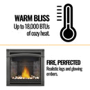 Napoleon Ascent 36 Direct Vent Millivolt Ignition Natural Gas Fireplace, 35" [B36NTR-1] (SAK85316)