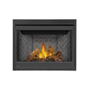 Napoleon Ascent 42 Direct Vent Millivolt Ignition Propane Gas Fireplace [B42N/PTR] (SAK91456)