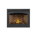 Napoleon Ascent 42 Direct Vent Millivolt Ignition Propane Gas Fireplace [B42N/PTR] (SAK91456)