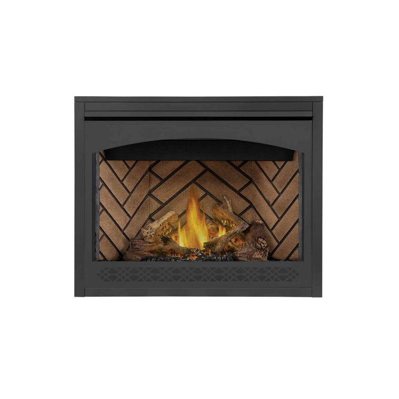 Napoleon Ascent 42 Direct Vent Millivolt Ignition Propane Gas Fireplace [B42N/PTR] (SAK91456)