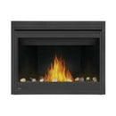 Napoleon Ascent 42 Direct Vent Millivolt Ignition Propane Gas Fireplace [B42N/PTR] (SAK91456)