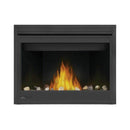 Napoleon Ascent 42 Direct Vent Millivolt Ignition Propane Gas Fireplace [B42N/PTR] (SAK91456)