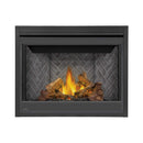 Napoleon Ascent 42 Direct Vent Millivolt Ignition Propane Gas Fireplace [B42N/PTR] (SAK91456)