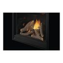 Napoleon Ascent Deep 42-Inch Direct Vent Electronic Ignition Natural Gas Fireplace [D42NTRE] (SAK42391)