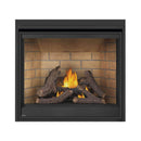 Napoleon Ascent Deep 42-Inch Direct Vent Electronic Ignition Natural Gas Fireplace [D42NTRE] (SAK42391)