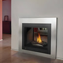 Napoleon Ascent Multi-View 3 Sided Log Set Direct Vent Natural Gas Fireplace [BHD4PNA] (SAK75492)