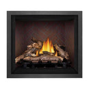 Napoleon Elevation Direct Vent Fireplace With 36" Tempered Glass [E36/42N/PTE] (SAK93758)