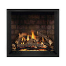 Napoleon Elevation Direct Vent Fireplace With Tempered Glass [EX36/42N/PTEL] (SAK93758)