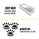 Napoleon Havelock 50 28-Inch Direct Vent Millivolt Ignition Natural Gas Stove [GDS50-1NSB] (SAK37589)
