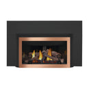Napoleon Inspiration ZC 36-Inch Direct Vent Millivolt Ignition Natural Gas Fireplace Insert [GDIZC-NSB] (SAK58347)