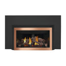 Napoleon Inspiration ZC Direct Vent Millivolt Ignition Natural Gas Fireplace Insert, 36" [GDIZC-NSB] (SAK58347)