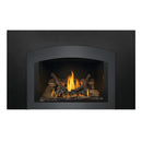 Napoleon Oakville 3 Direct Vent Electronic Ignition Natural Gas Fireplace Insert [GDI3NEA] (SAK82316)