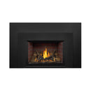 Napoleon Oakville 3 28-Inch Direct Vent Natural Gas Fireplace Insert [GDI3N-1] (SAK25498)