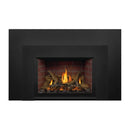 Napoleon Oakville X3/X4 Direct Vent Electronic Ignition Natural Gas Fireplace Insert (GDIX3N/4N-1) (SAK21347)