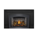 Napoleon Oakville X3/X4 Direct Vent Electronic Ignition Natural Gas Fireplace Insert [GDIX3N/4N-1] (SAK21347)