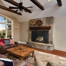 Napoleon Oakville X3/X4 Direct Vent Electronic Ignition Natural Gas Fireplace Insert [GDIX3N/4N-1] (SAK21347)