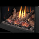 Napoleon Oakville X3/X4 Direct Vent Electronic Ignition Natural Gas Fireplace Insert (GDIX3N/4N-1) (SAK21347)