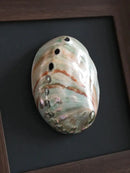 GobekUsa Conch Shell Decorative Painting Frame Pendant Wall Ornaments