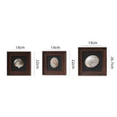 GobekUsa Conch Shell Decorative Painting Frame Pendant Wall Ornaments