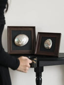 GobekUsa Conch Shell Decorative Painting Frame Pendant Wall Ornaments