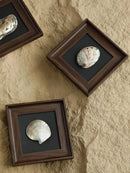 GobekUsa Conch Shell Decorative Painting Frame Pendant Wall Ornaments