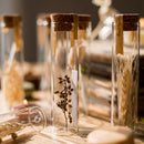 Natural Dried Flower in Glass Tube Randomly Picked Set of 5