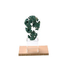GobekUsa Green Taihu Stone Coral Sculpture for Room Decoration