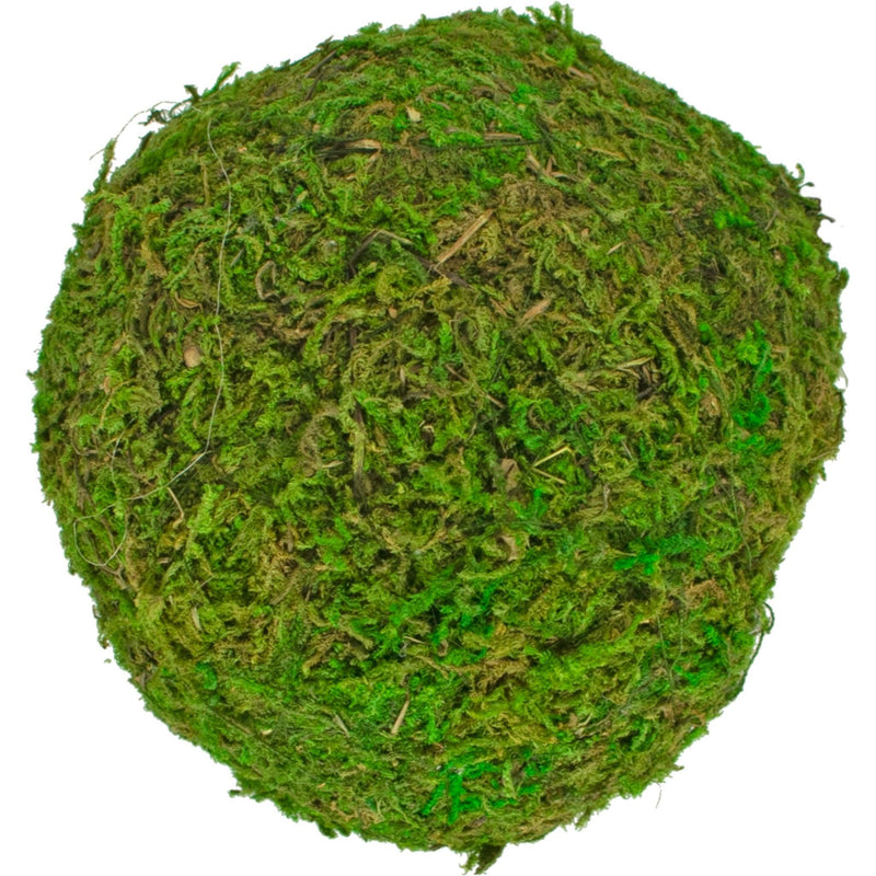 Real Decorative Moss Balls