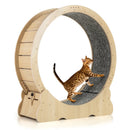 40 Inch Large Cat Exercise Wheel with Lockable Mechanism and Carpeted Runaway for Indoor Cats-Natural by LJGDeals