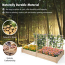 Raised Garden Bed with 2 Planter Boxes and 3 Trellis-Natural by LJGDeals
