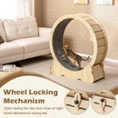 40 Inch Large Cat Exercise Wheel with Lockable Mechanism and Carpeted Runaway for Indoor Cats-Natural by LJGDeals