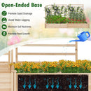 Raised Garden Bed with 2 Planter Boxes and 3 Trellis-Natural by LJGDeals