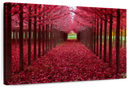 Red Forest Wall Art
