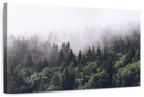 Hazy Pine Forest Wall Art