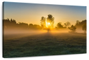 Misty Meadow At Sunrise Wall Art