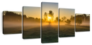 Misty Meadow At Sunrise Wall Art