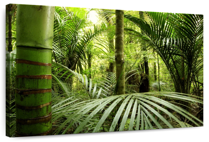 Into The Jungle Wall Art