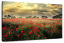 Scandinavian Poppy Field Wall Art