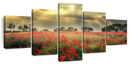 Scandinavian Poppy Field Wall Art