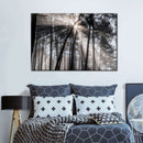 Forest Sun Beam Wall Art