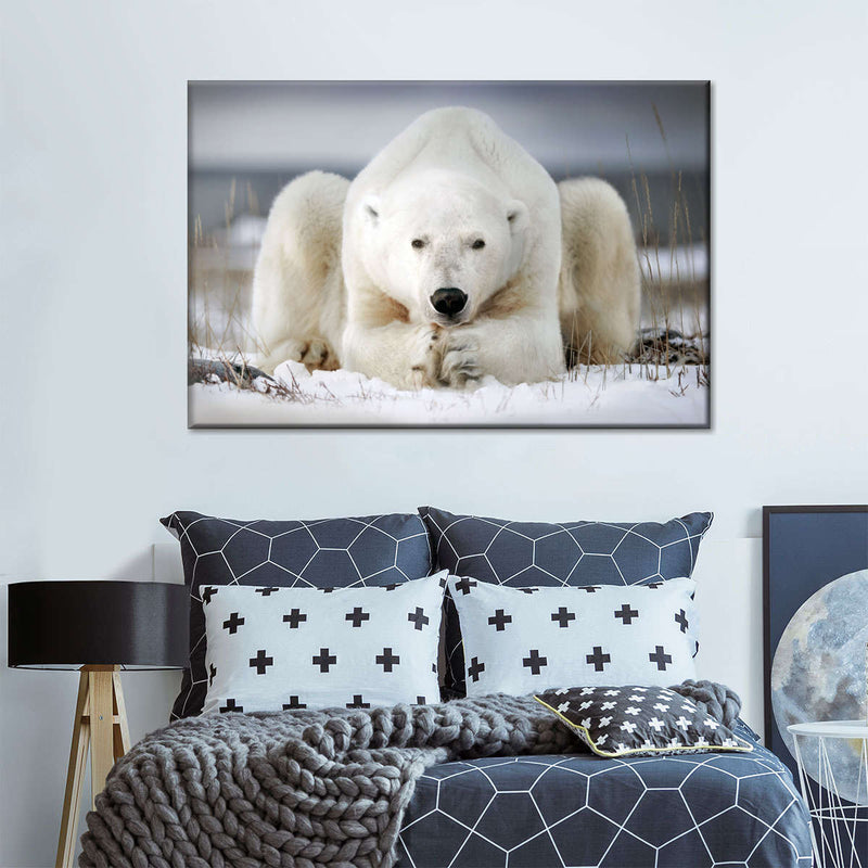 Yoga Polar Bear Wall Art