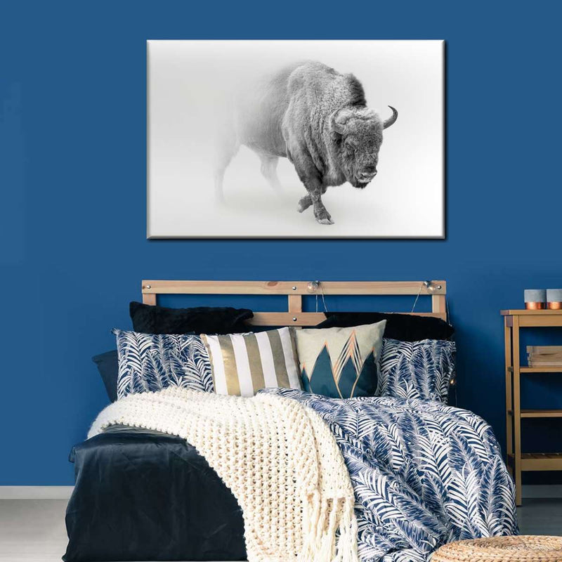 Wild Bison Wall Art