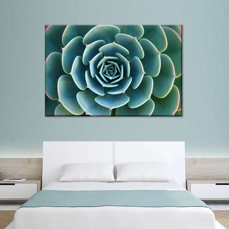 Live Succulent Wall Art