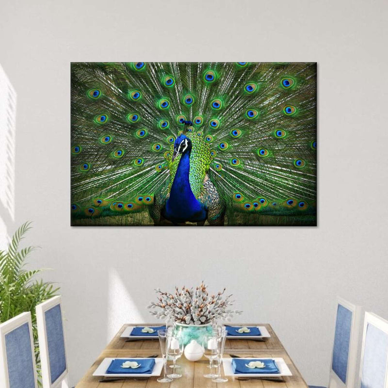 Peacock Feathers Wall Art