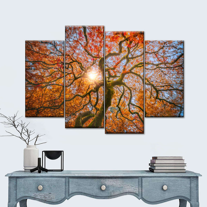 Japanese Maple Tree Wall Art