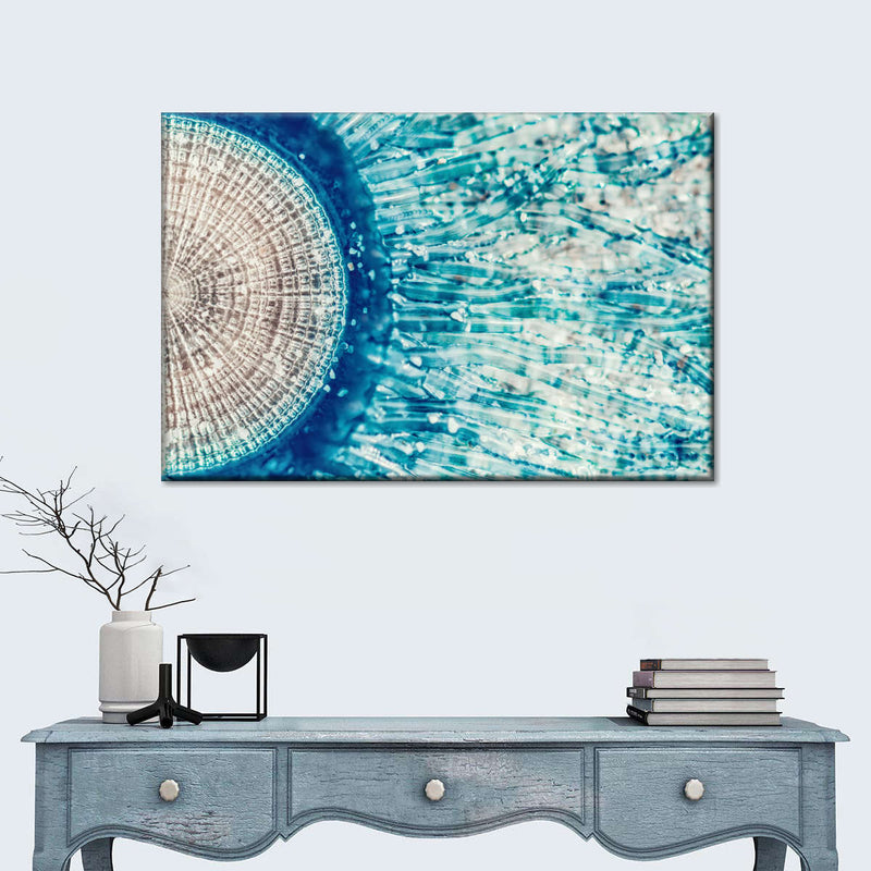 Jellyfish Details Wall Art