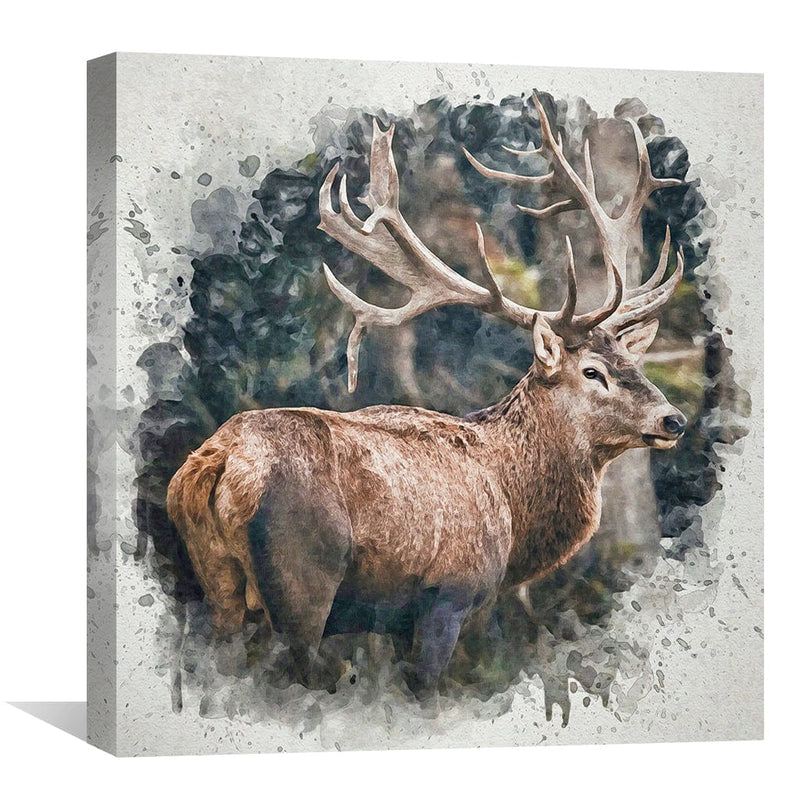 NeForest Prince Canvas