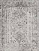 Nelsonville Area Rug