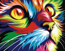 Colorful Cat