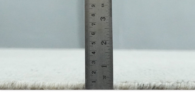 Neutral Contemporary 8x10 Medallion Beige 8x10 Hand knotted wool area rug